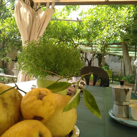 Villino L'Aranceto Sorrentino Bed & Breakfast Meta Bagian luar foto