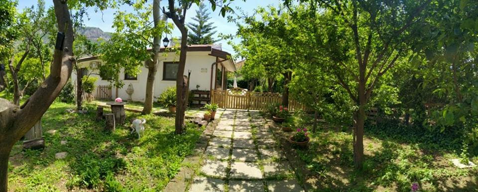 Villino L'Aranceto Sorrentino Bed & Breakfast Meta Bagian luar foto