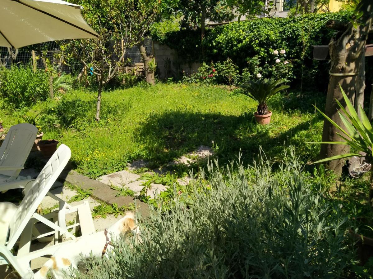 Villino L'Aranceto Sorrentino Bed & Breakfast Meta Bagian luar foto