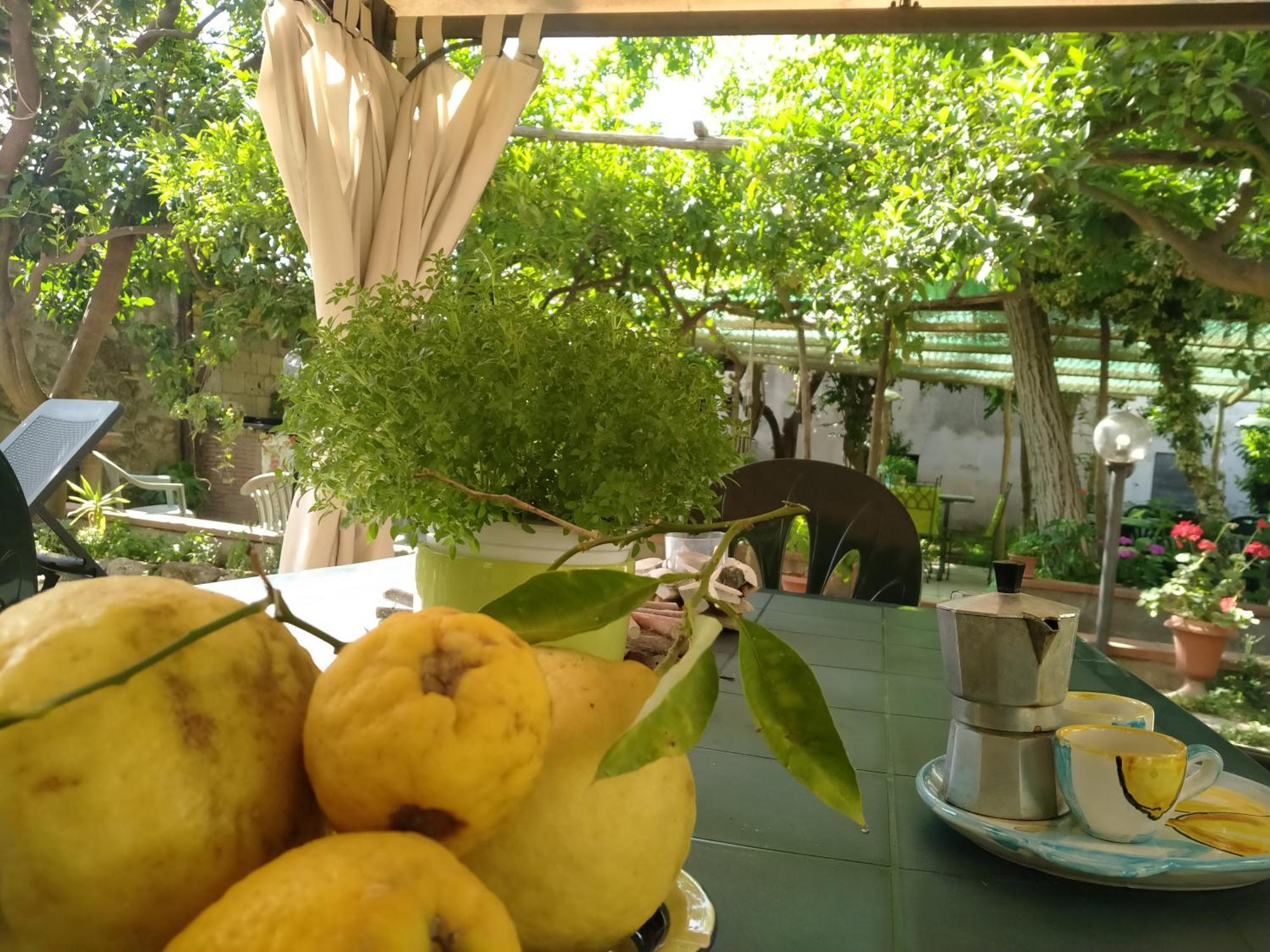 Villino L'Aranceto Sorrentino Bed & Breakfast Meta Bagian luar foto