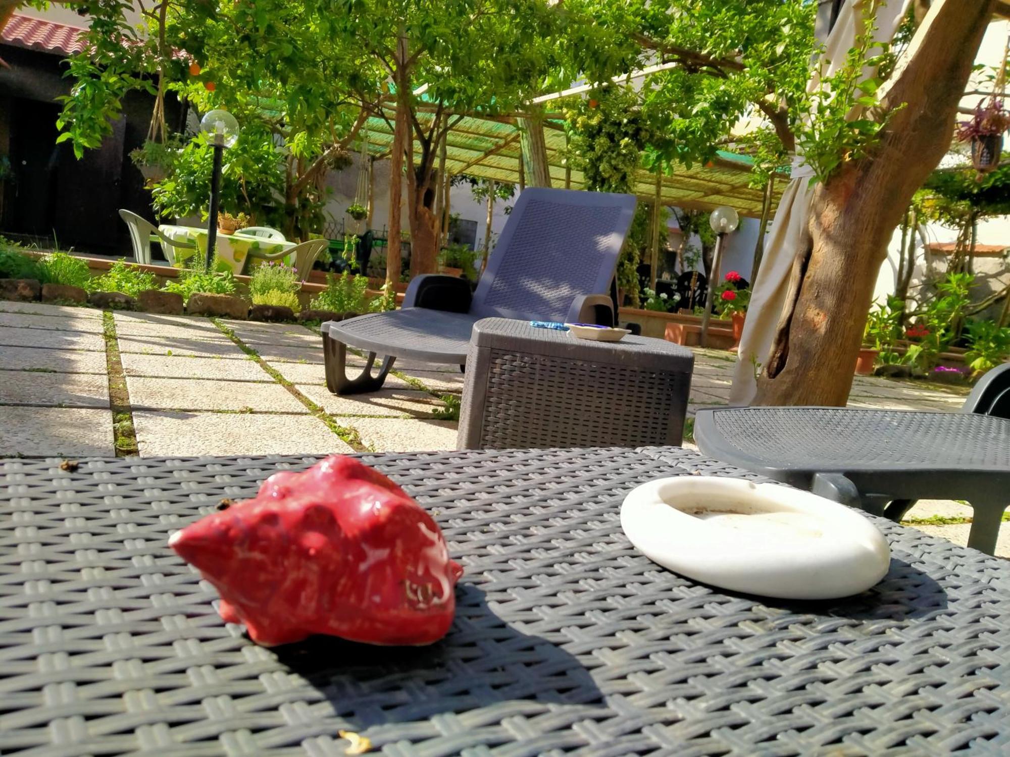 Villino L'Aranceto Sorrentino Bed & Breakfast Meta Bagian luar foto