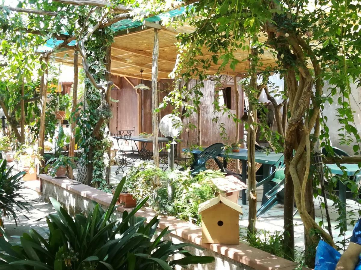 Villino L'Aranceto Sorrentino Bed & Breakfast Meta Bagian luar foto