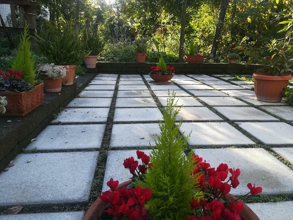 Villino L'Aranceto Sorrentino Bed & Breakfast Meta Bagian luar foto